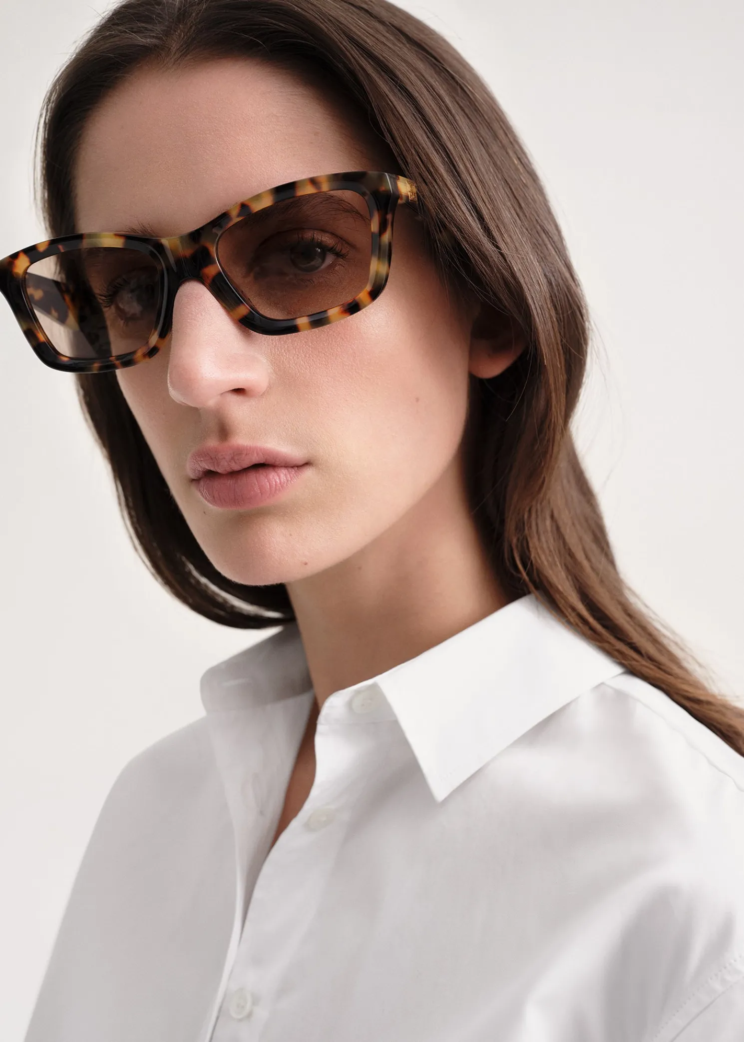 Classic sunglasses tortoise