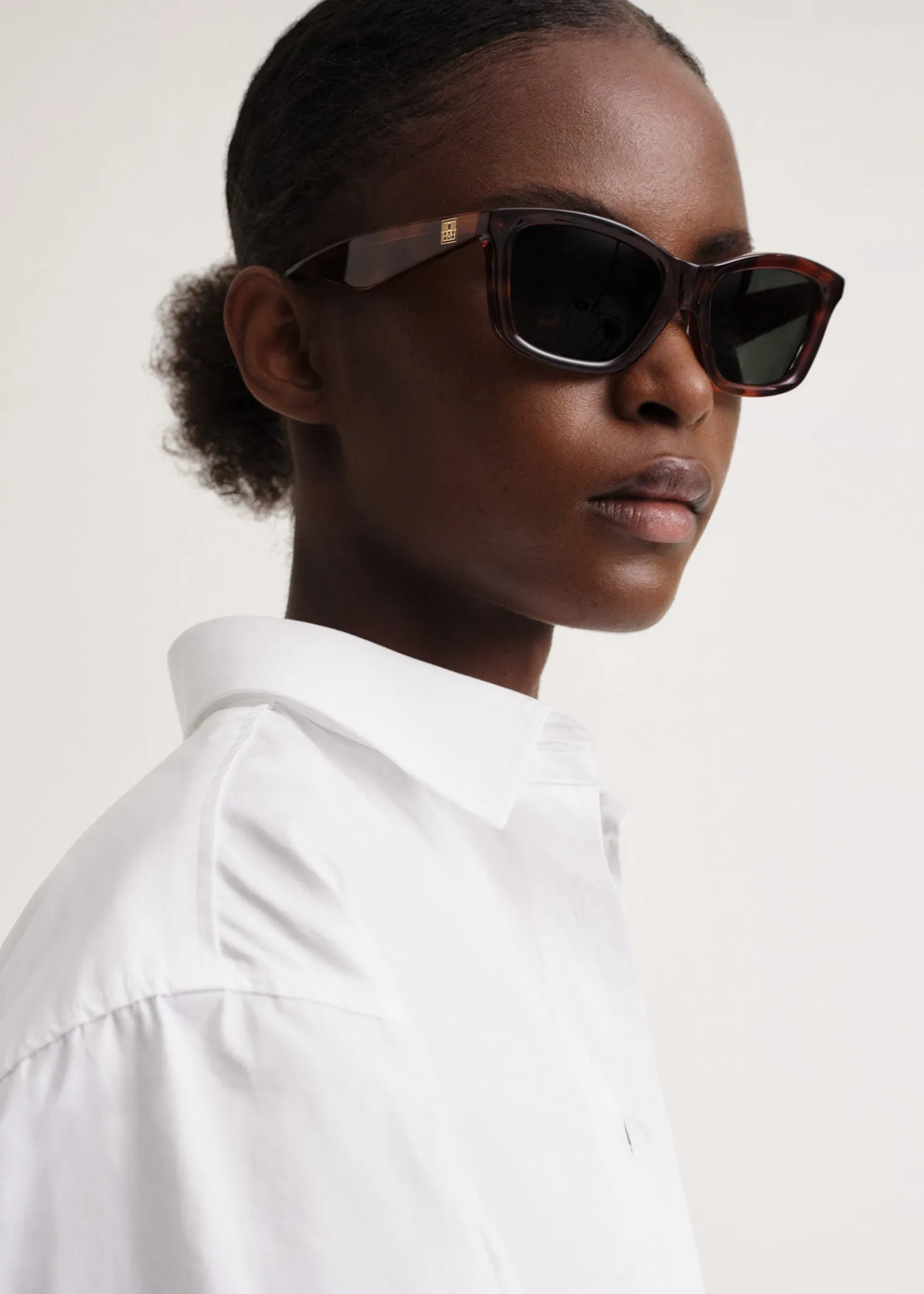 Classic sunglasses Havana