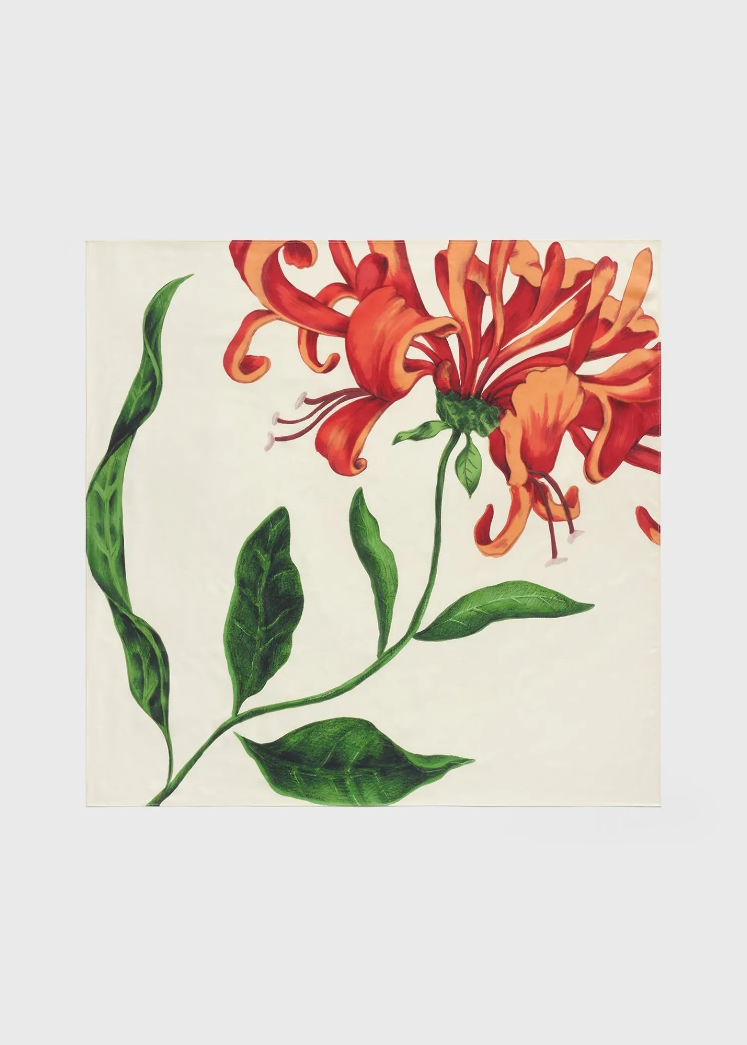 Honeysuckle silk scarf ecru/orange